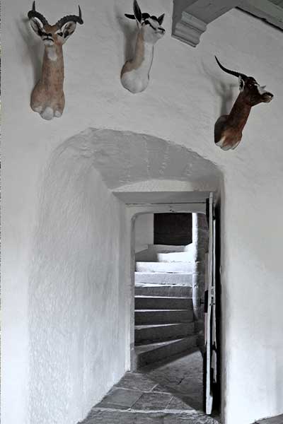 Escalier à vis de la tou