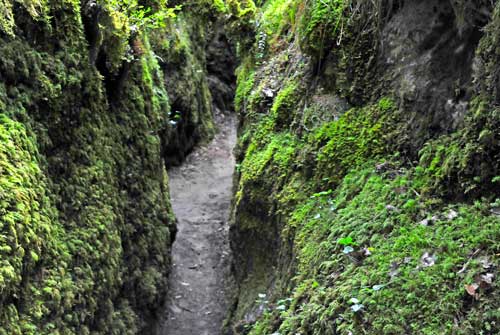 Destination Les Canalettes (Larzac)