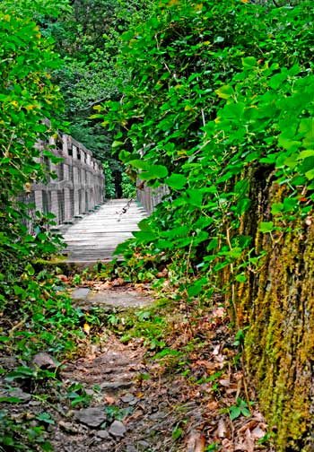 Chemin dans la vallée du Viaur