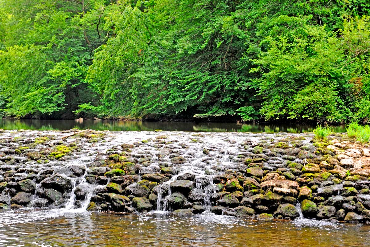 Vallée du Viaur