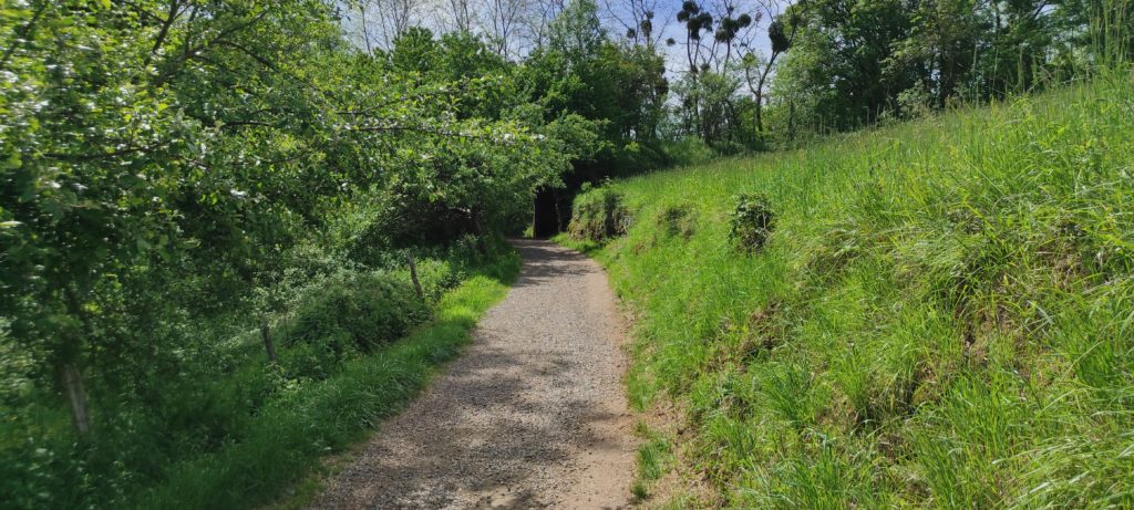 Une veritable autoroute a marcheur.@DR