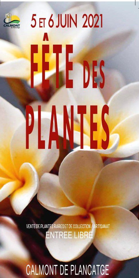 4831 fete plantes calmont 600x1203 2