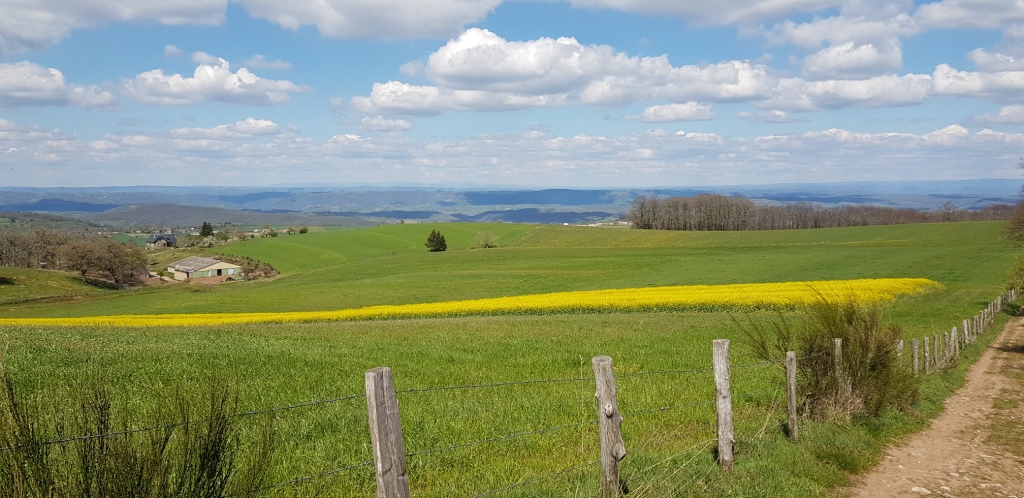 Chemin descente Clairvaux lete