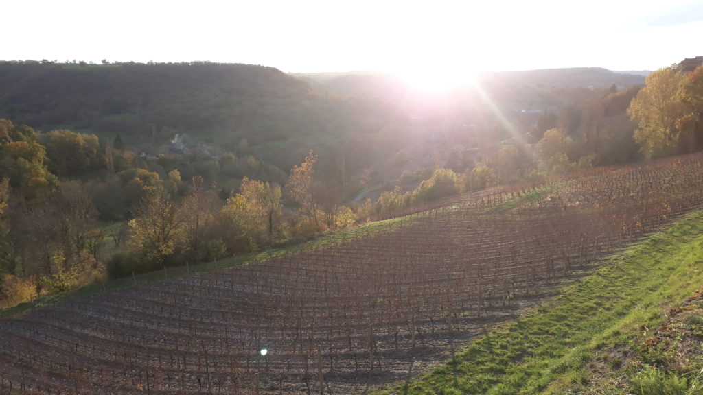 Chemin entre la Roque et Fontcoussergue 1