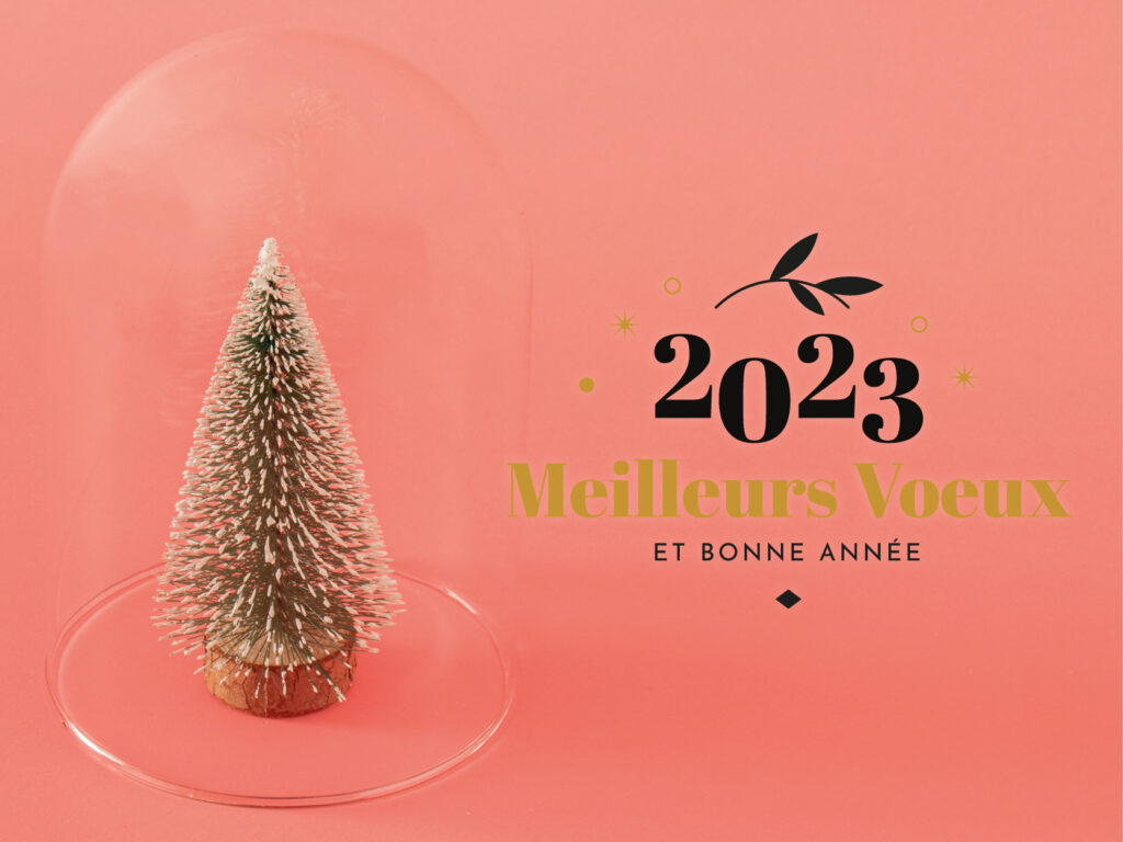 Voeux 2023