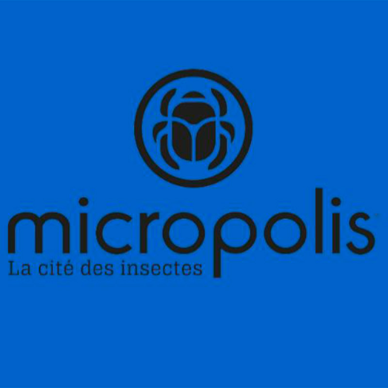 Micropolis 6