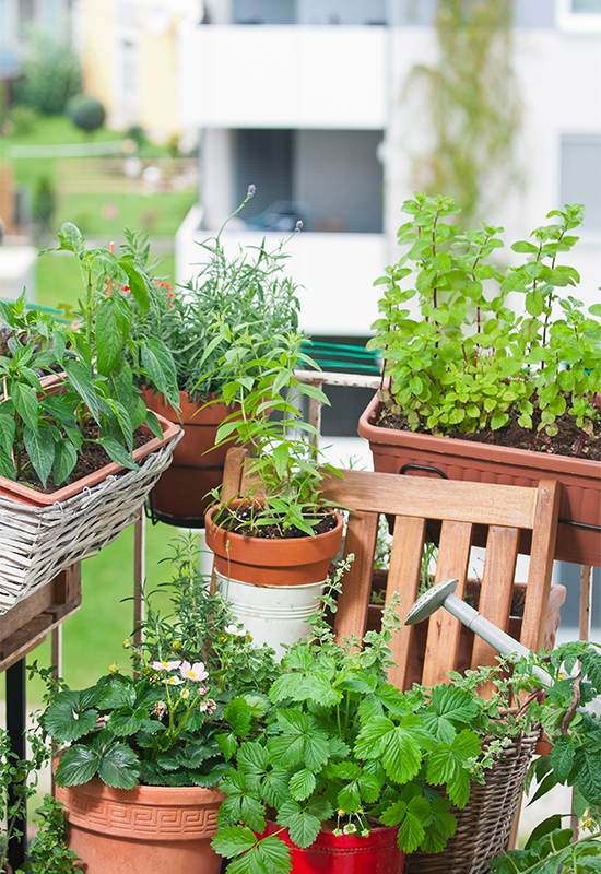 Balcon jardin 2