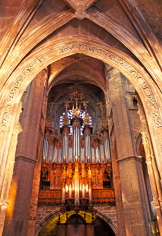 Cathedrale orgue