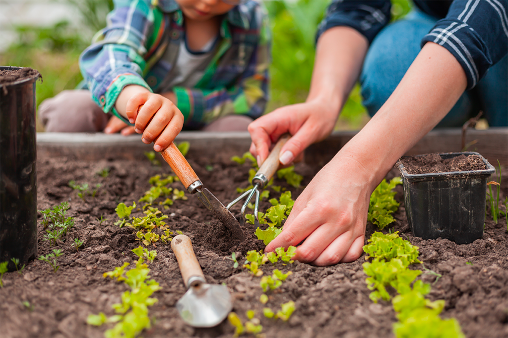 Partages jardin 2