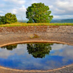 Biodiversite causse 00