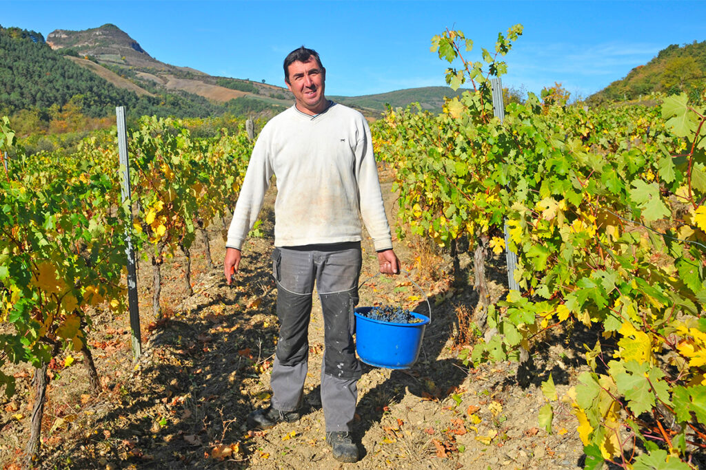 Côtes de Millau