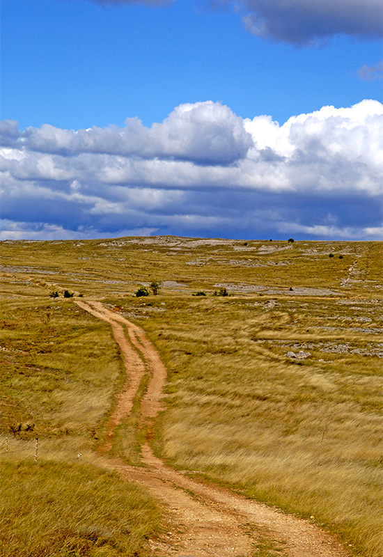 Géologie des causses - Calcaire