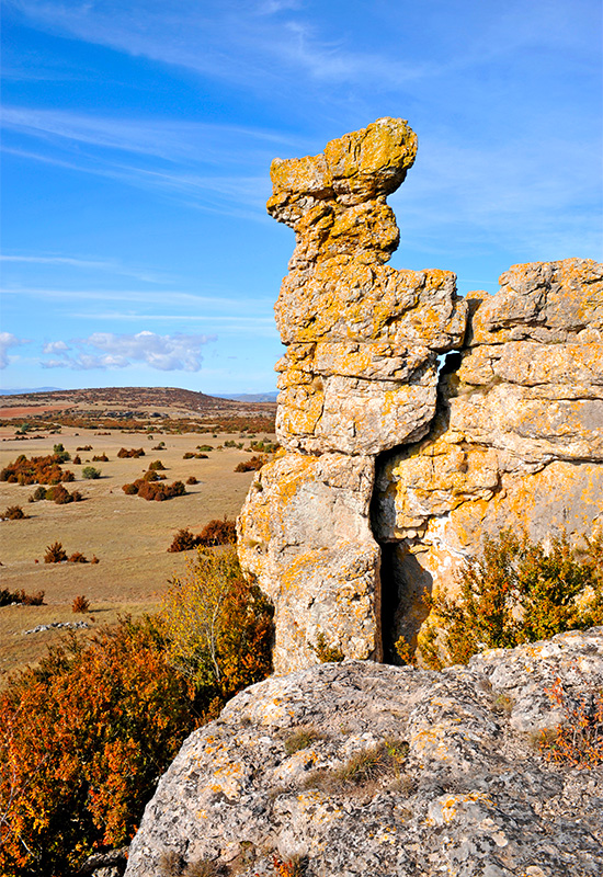 Géologie des causses - Calcaire