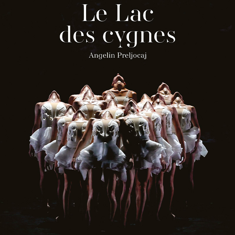 ballet lac cygnes