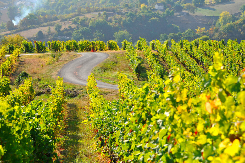 Route des vignobles de Marcillac