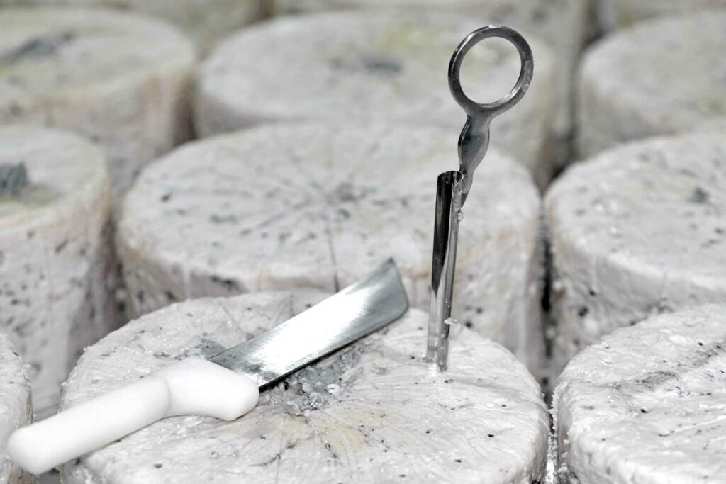 Roquefort 02