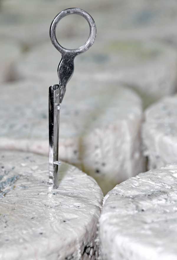 ROQUEFORT : 100 ans d’Appellation d’Origine Protégée, un siècle de fierté aveyronnaise 2 détail Roquefort