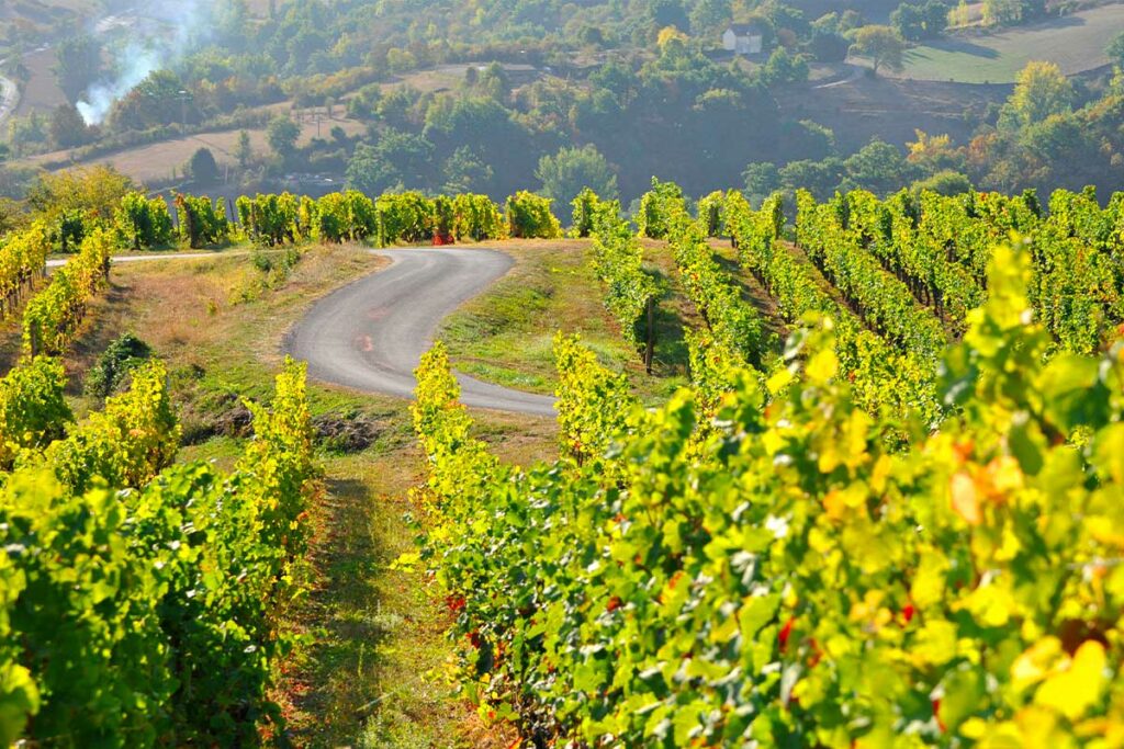 35ans AOP - Domaine du Cros 5 Cros 05