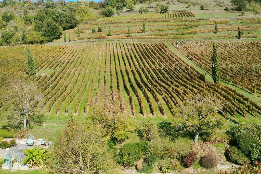 Domaine du Mioula