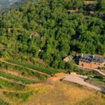 Magazine MILLESIME 8 Domaine du Marci