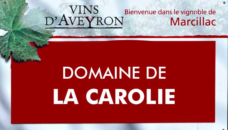 35ans AOP - Domaine de la Carolie 7 Carolie 00