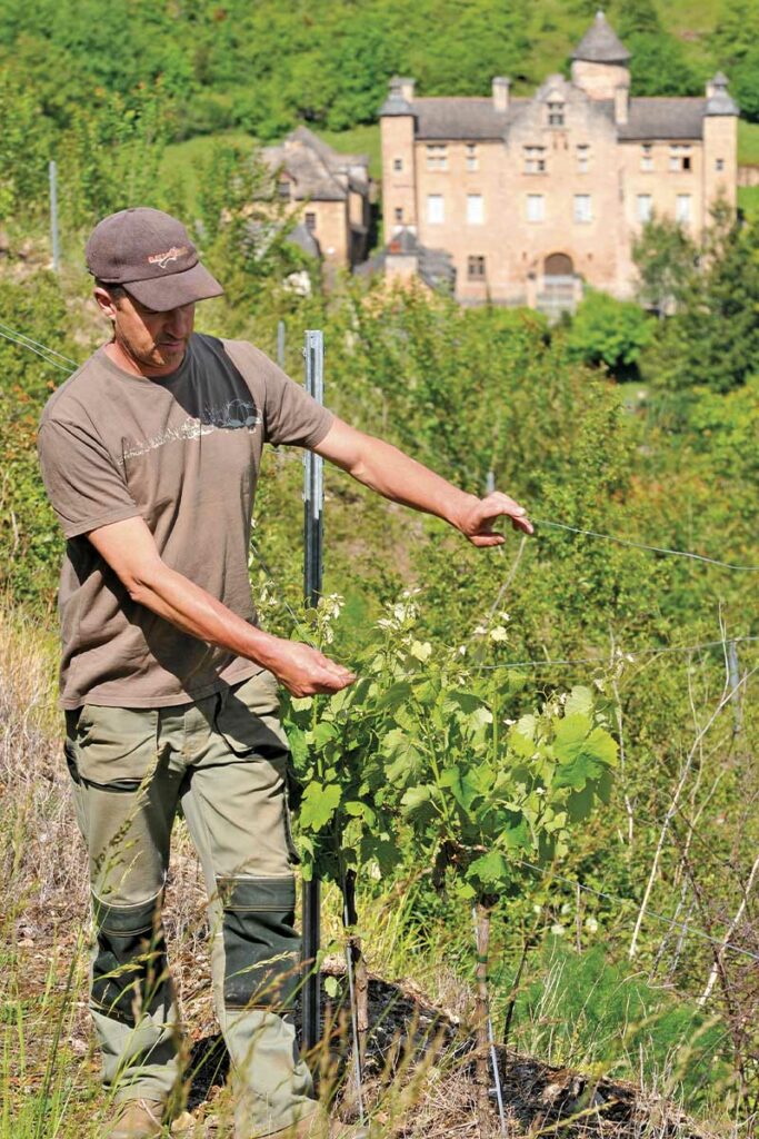 35ans AOP - Domaine de la Carolie 3 Carolie 04