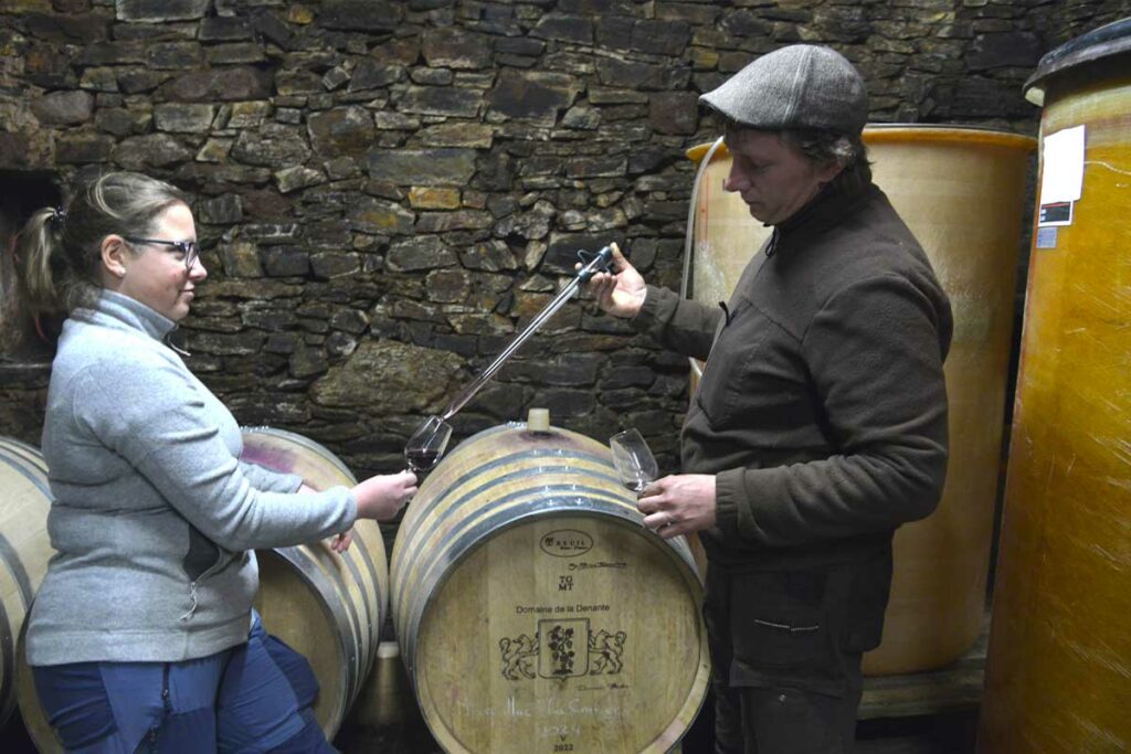 35ans AOP - Domaine de Courbies 2 Courbies 01