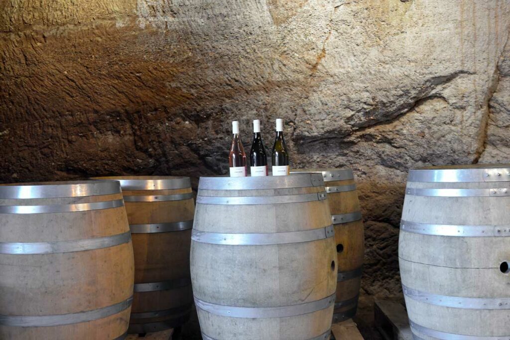 35ans AOP - Domaine de Courbies 1 Courbies 02