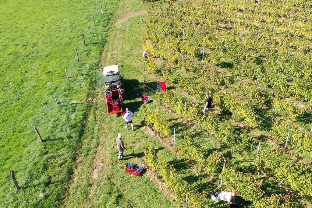 35ans AOP - Domaine de Courbies 3 Courbies 04