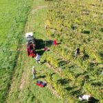 35ans AOP - Domaine des Costes Rouges 7 Courbies 04