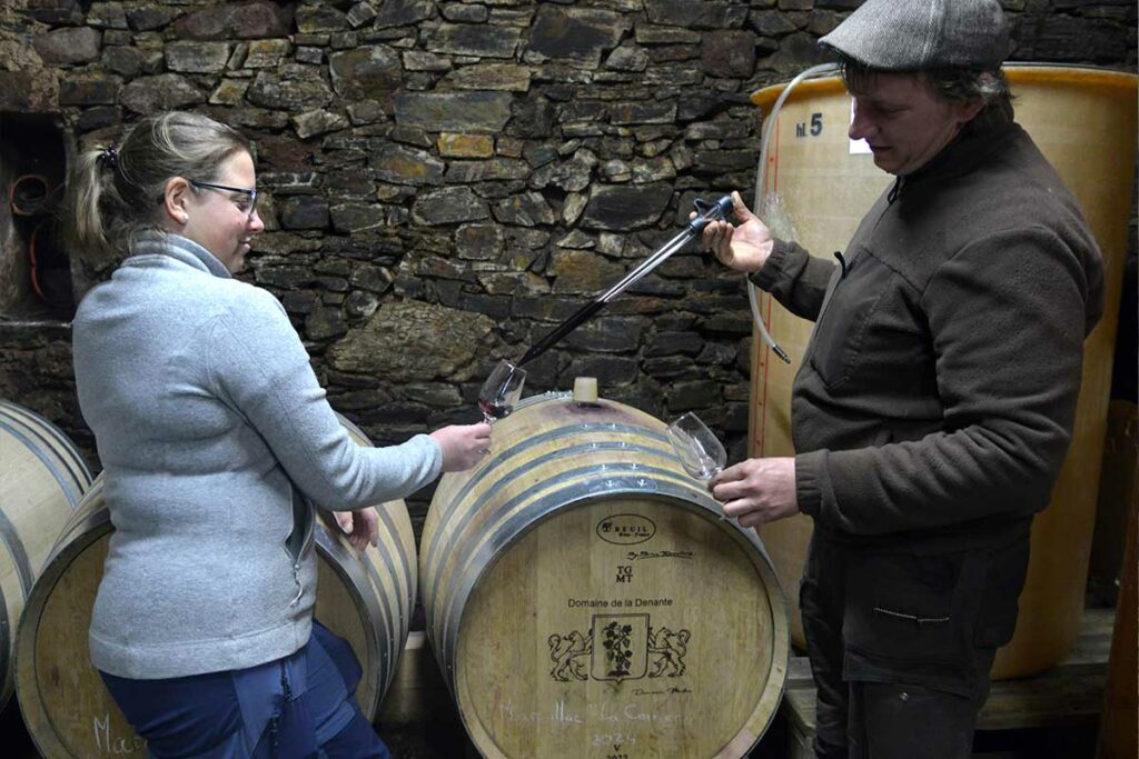 Domaine Courbies