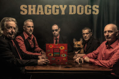 illustration the shaggy dogs 1 1768812565