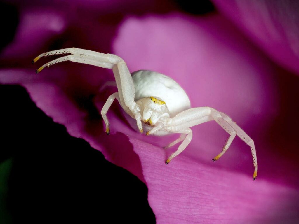 08 thomise un monde a soie 2026 eric trouve x540q80