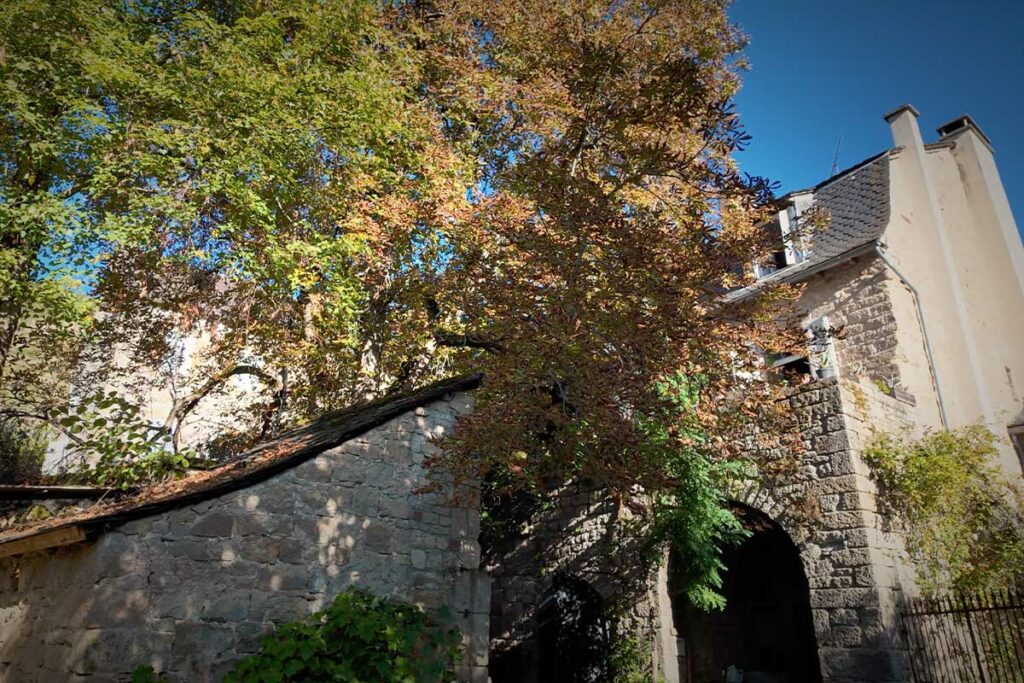 Bougaunes 14