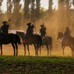 Fest Cheval01
