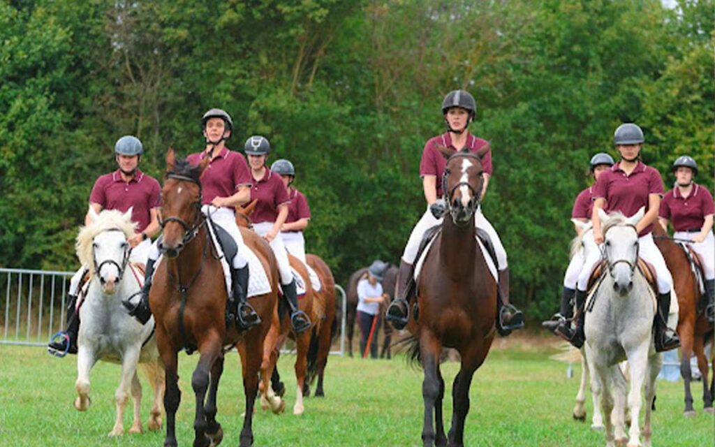 Fest Cheval03