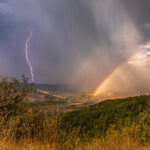 photographieorage 341